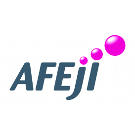 image du groupe AFEJI détail de l'image du groupe AFEJI