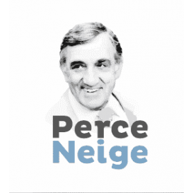 image du groupe Fondation Perce et Neige détail de l'image du groupe Fondation Perce et Neige